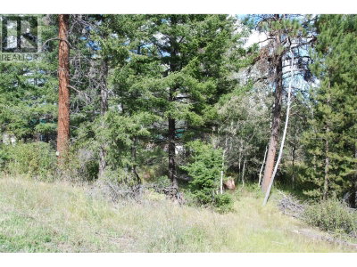 396 Wild Rose Drive | Merritt British Columbia | Slide Image Two