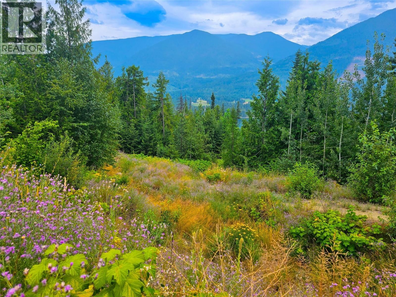 421 MOUNTAIN VIEW Drive, Balfour, British Columbia V1L 0A7