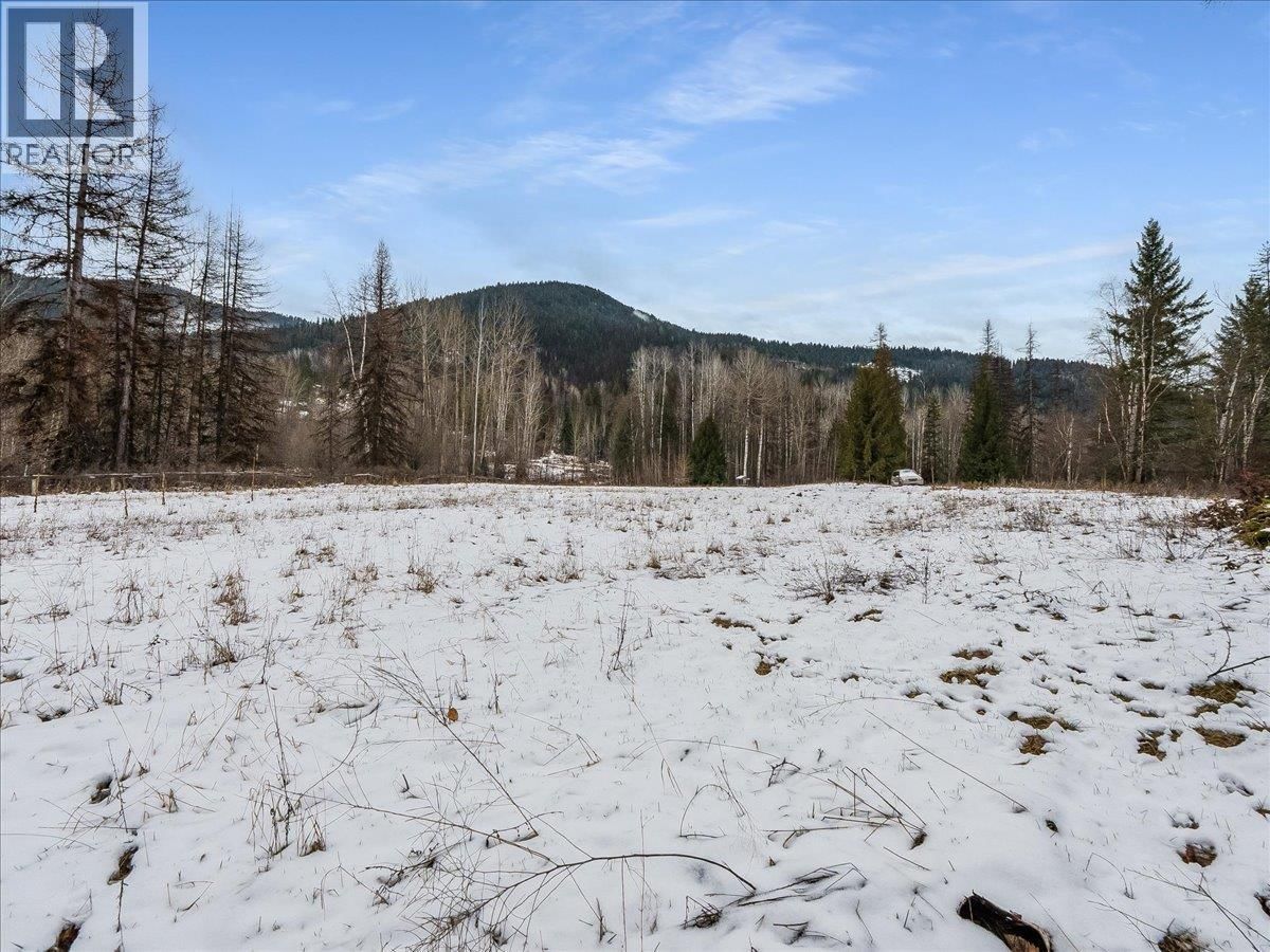 1076 COLUMBIA GARDENS ROAD Image 80