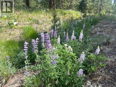 240 Sasquatch Trail | Osoyoos British Columbia | Slide Image Three