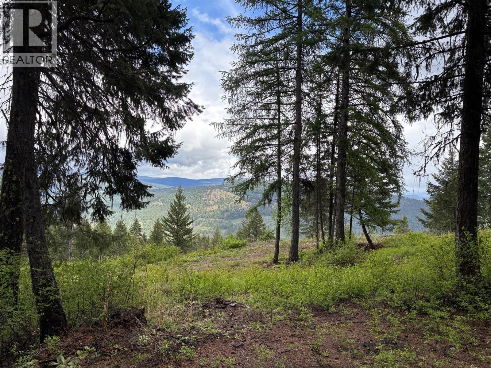 Lot 2 Hulme Creek Road, Rock Creek, British Columbia V0H 1Y0