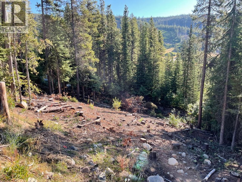 Lot 122 WAPITI CREEK Road Oliver British Columbia, V0H 1T8 - Vacant Land For Sale