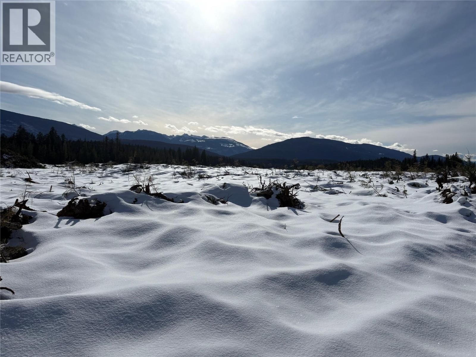 1020 FOREST SERVICE ROAD SEYMOUR ARM ROAD Image 2