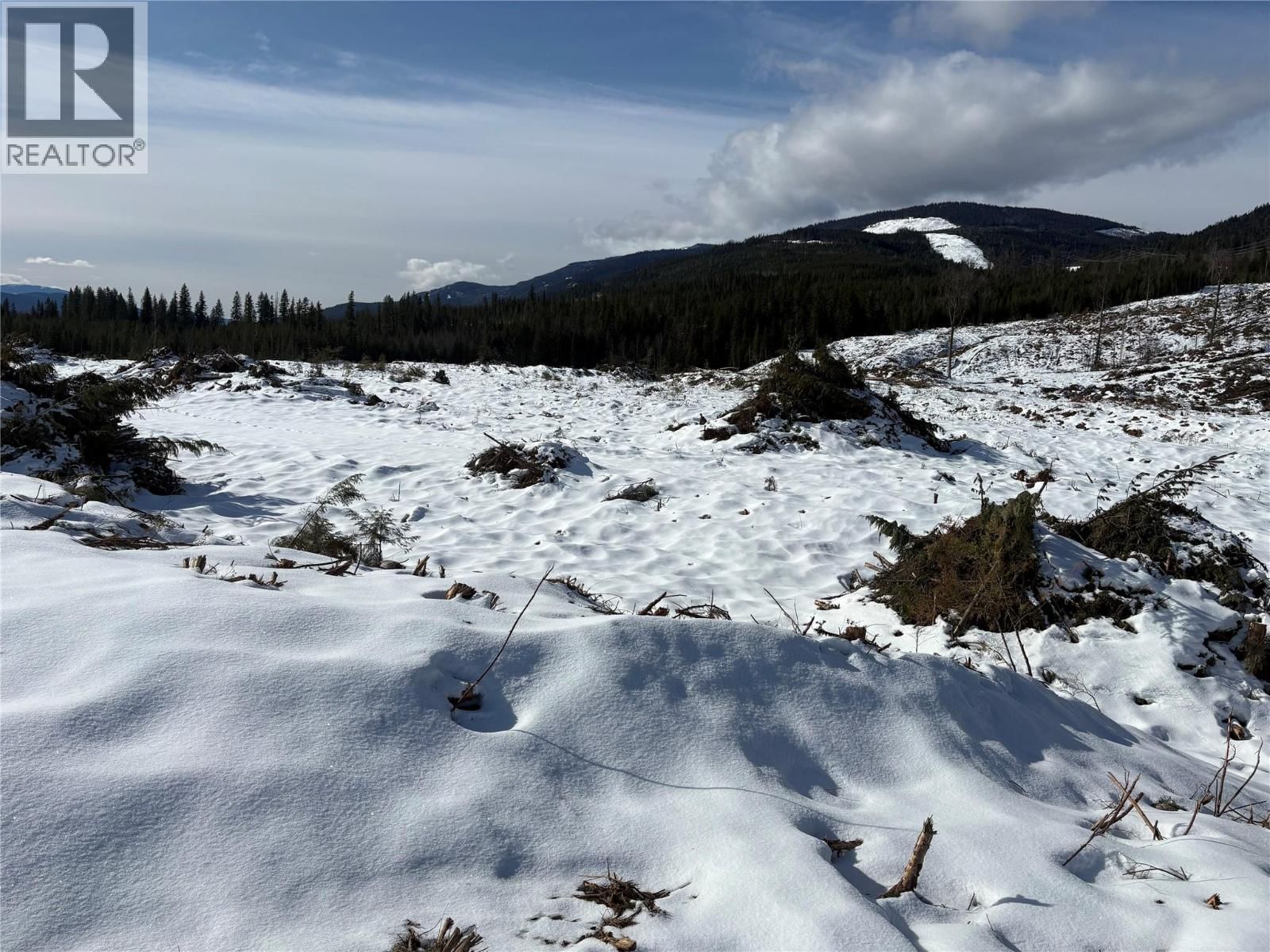 1020 FOREST SERVICE ROAD SEYMOUR ARM ROAD Image 5