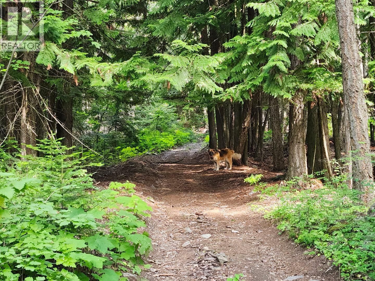 1137 36TH AVENUE NORTH Image 39