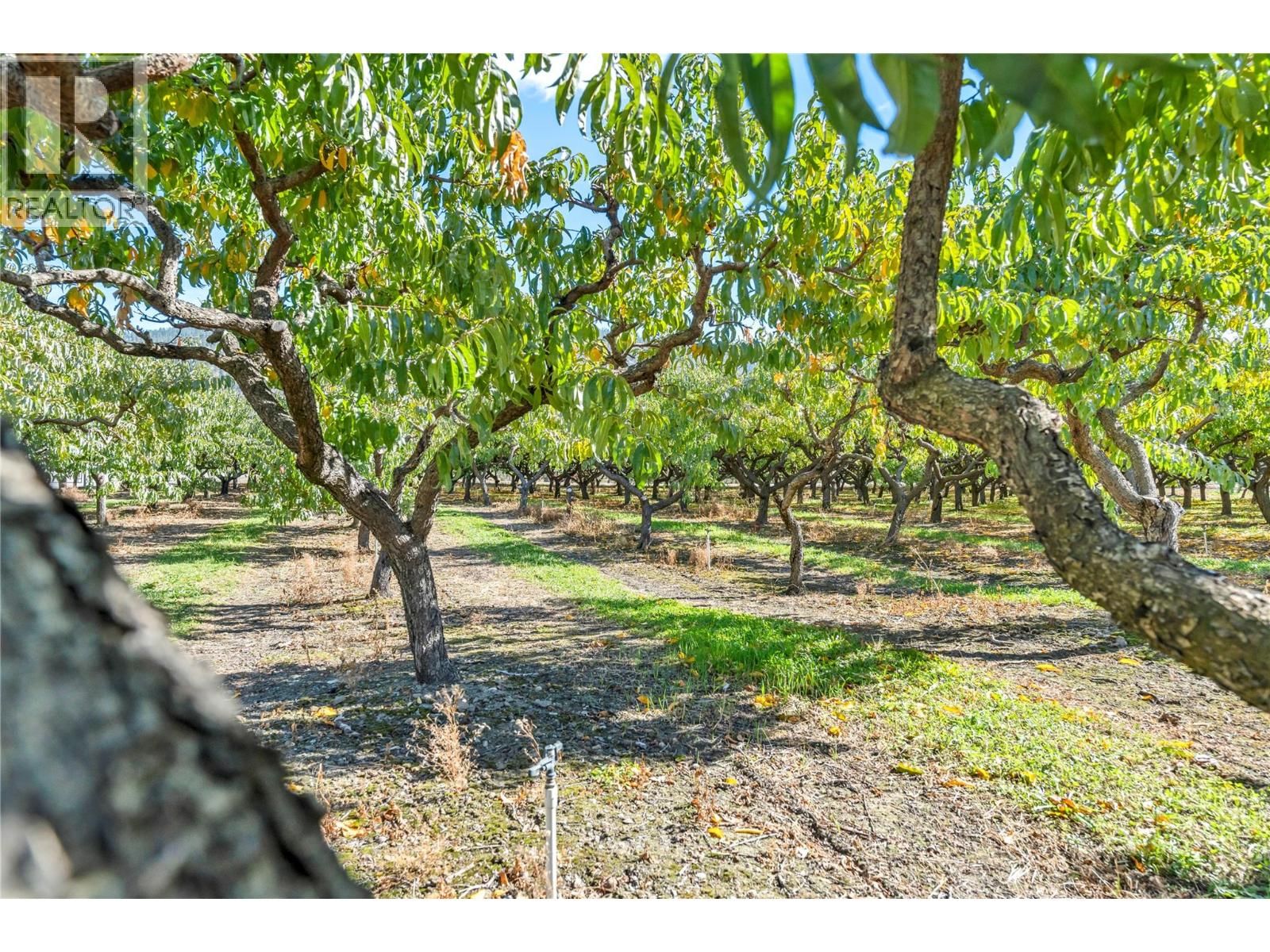 235 MIDDLE BENCH ROAD NORTH Image 50