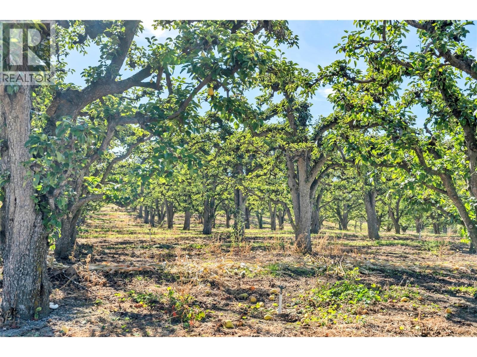 235 MIDDLE BENCH ROAD NORTH Image 51