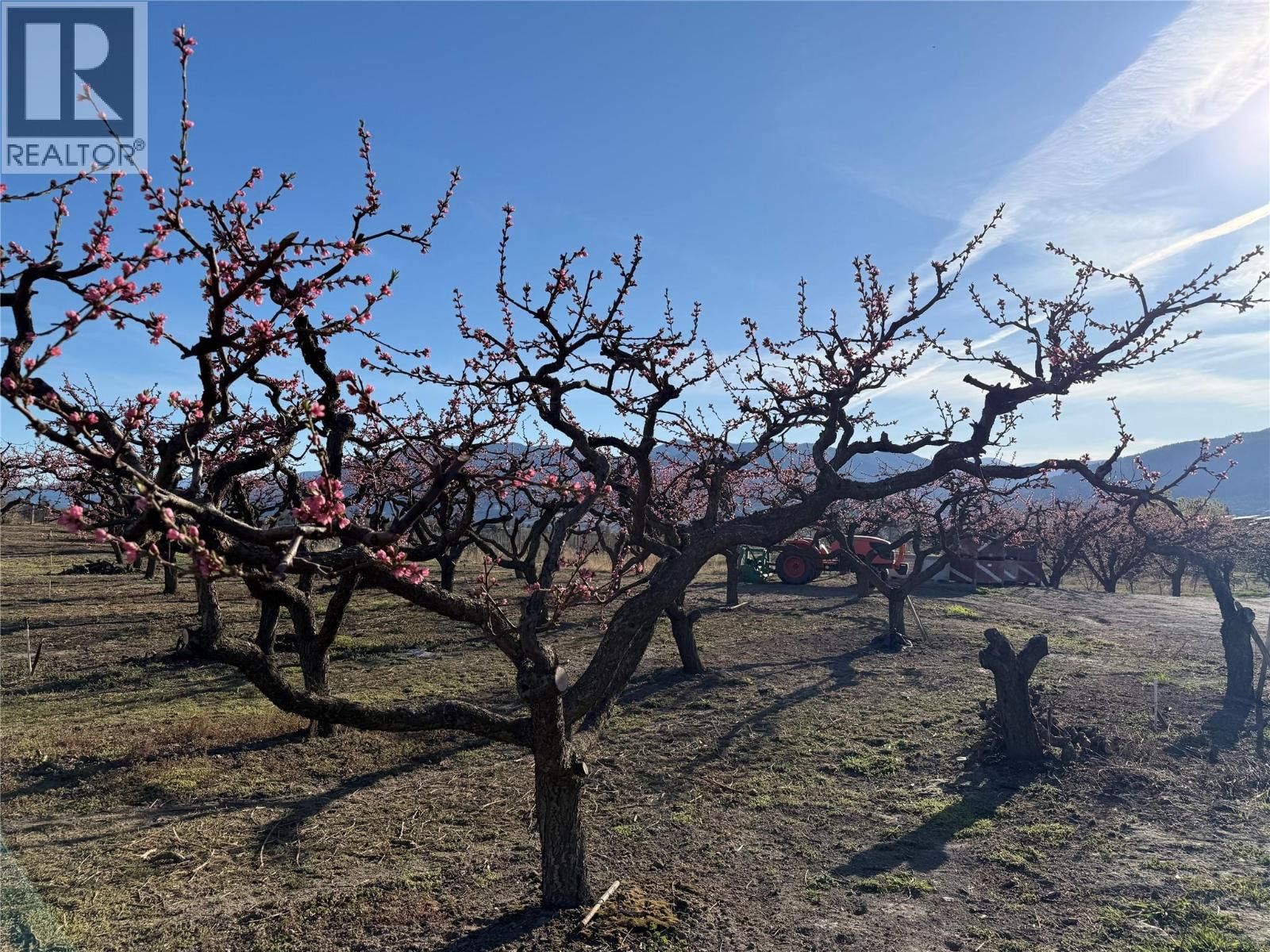 235 MIDDLE BENCH ROAD NORTH Image 67