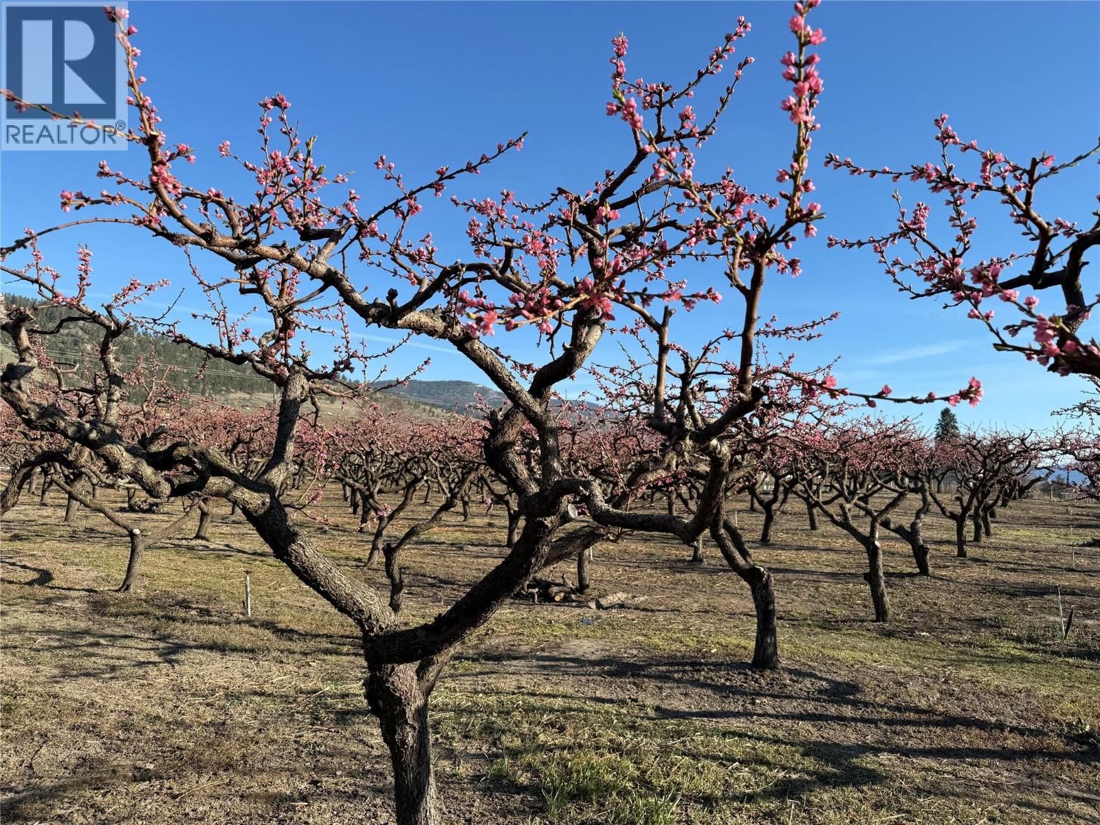 235 MIDDLE BENCH ROAD NORTH Image 68