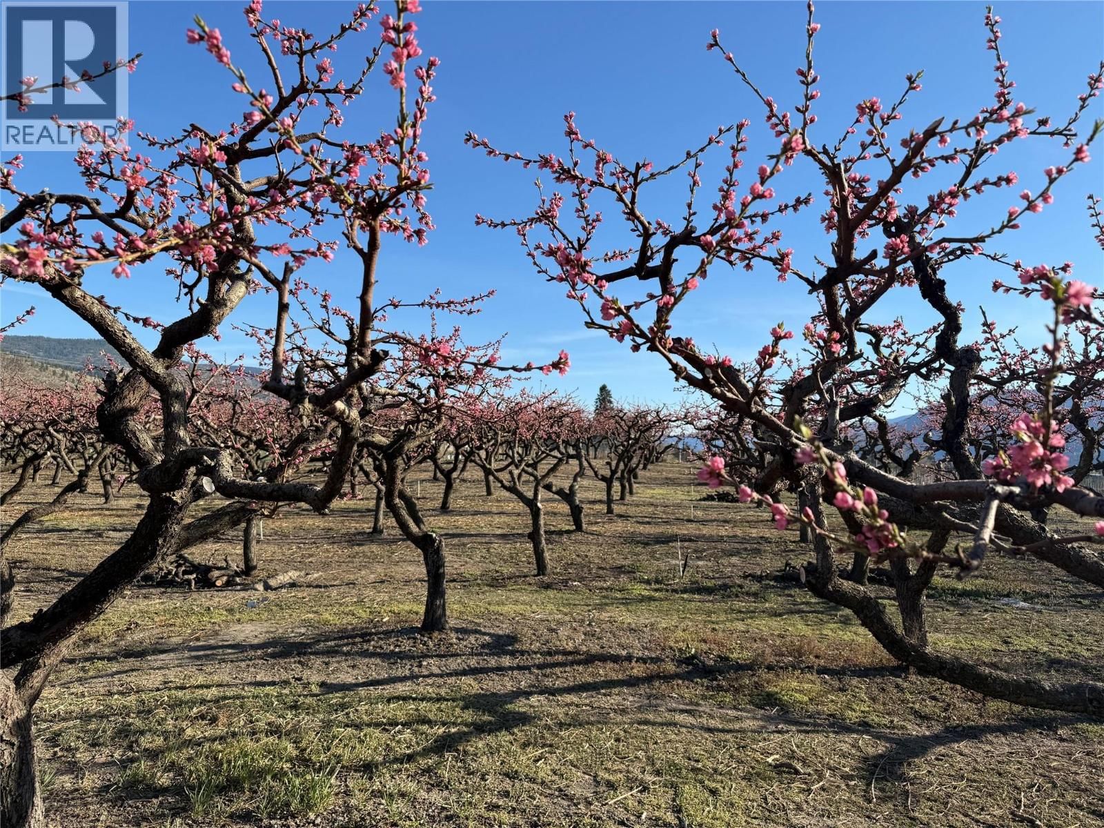 235 MIDDLE BENCH ROAD NORTH Image 69