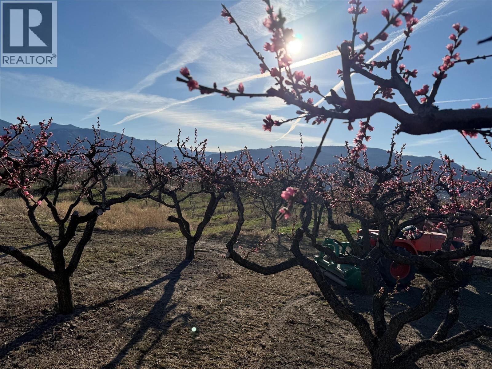 235 MIDDLE BENCH ROAD NORTH Image 72