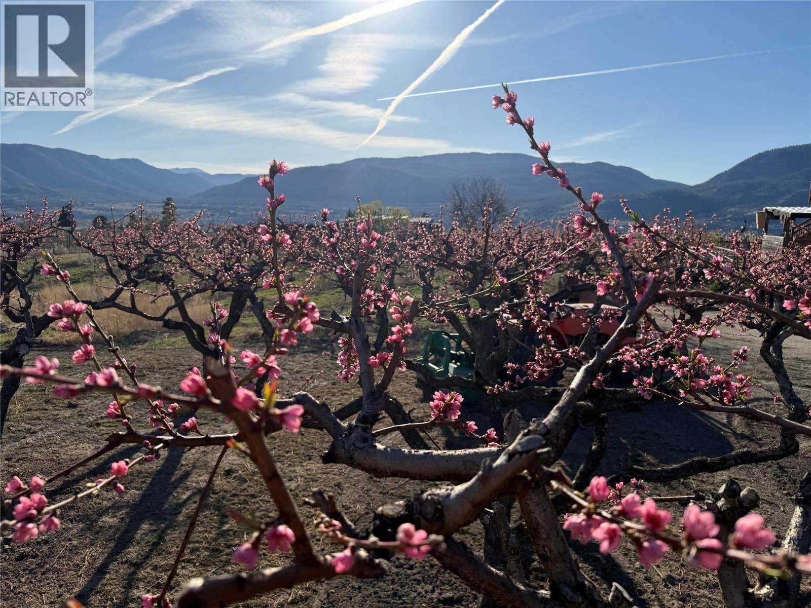 235 MIDDLE BENCH ROAD NORTH Image 74