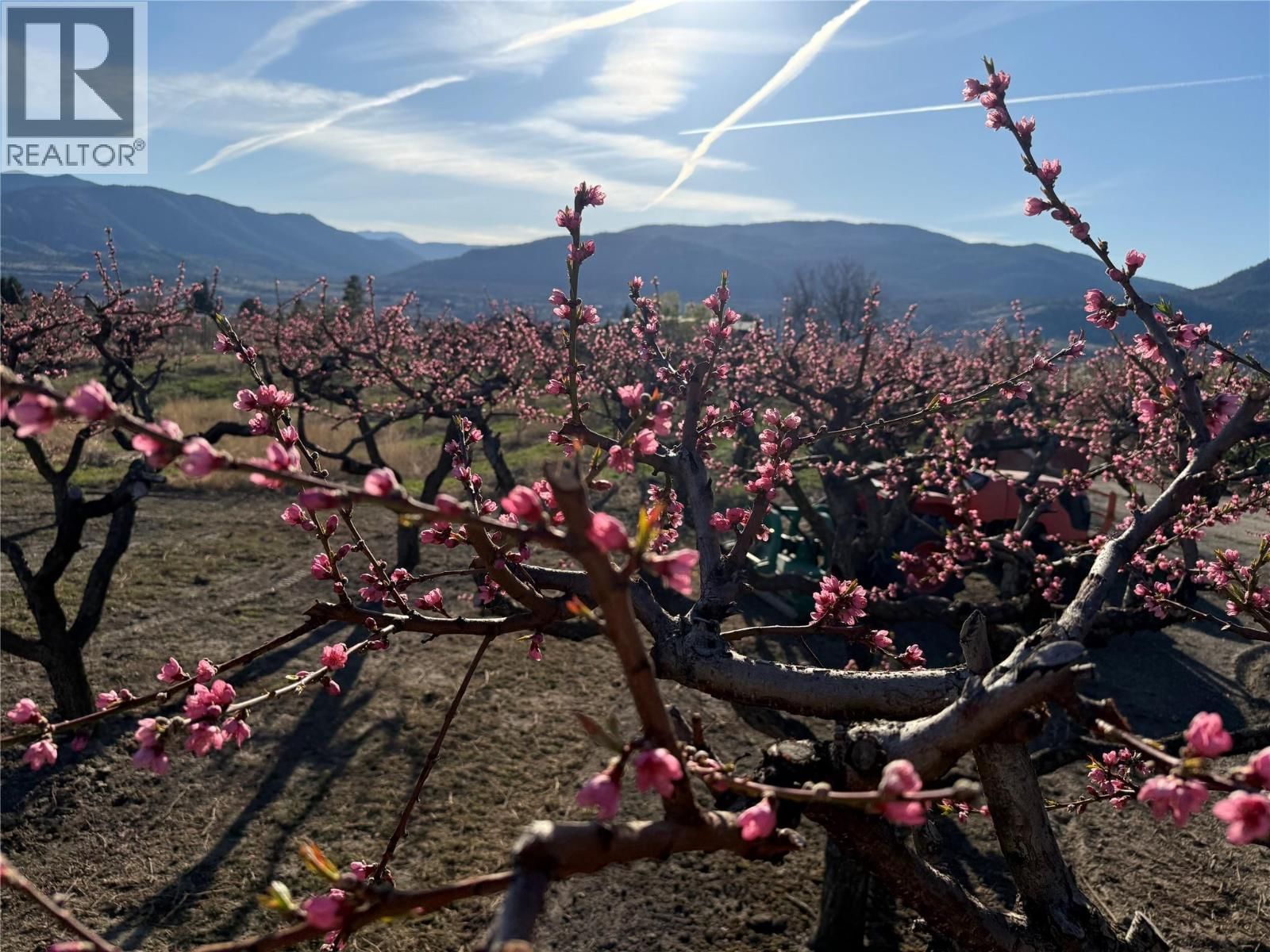 235 MIDDLE BENCH ROAD NORTH Image 75