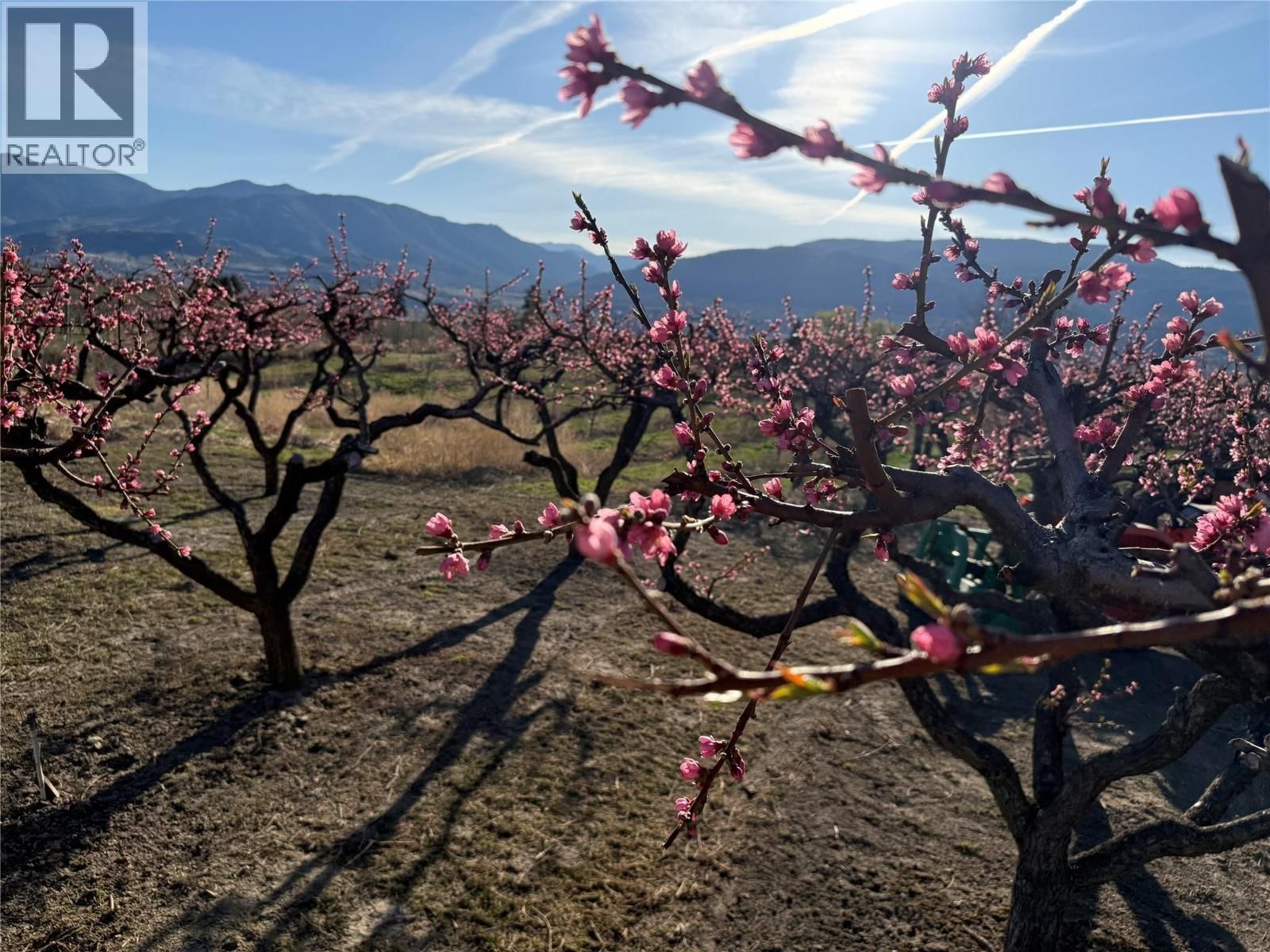 235 MIDDLE BENCH ROAD NORTH Image 76