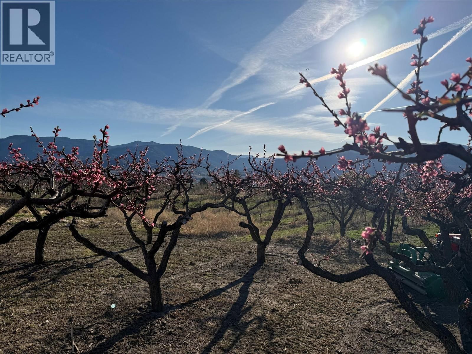 235 MIDDLE BENCH ROAD NORTH Image 77