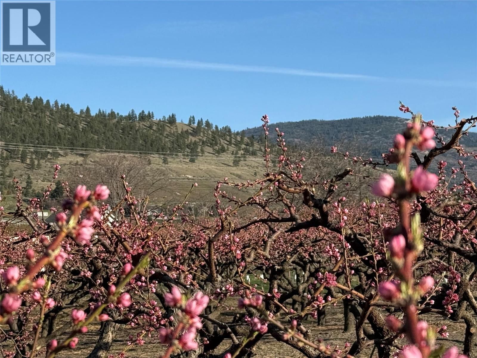 235 MIDDLE BENCH ROAD NORTH Image 78