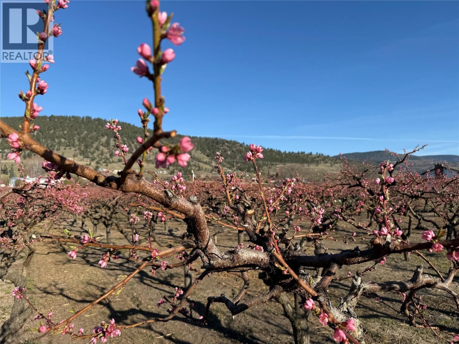 235 MIDDLE BENCH ROAD NORTH Image 79