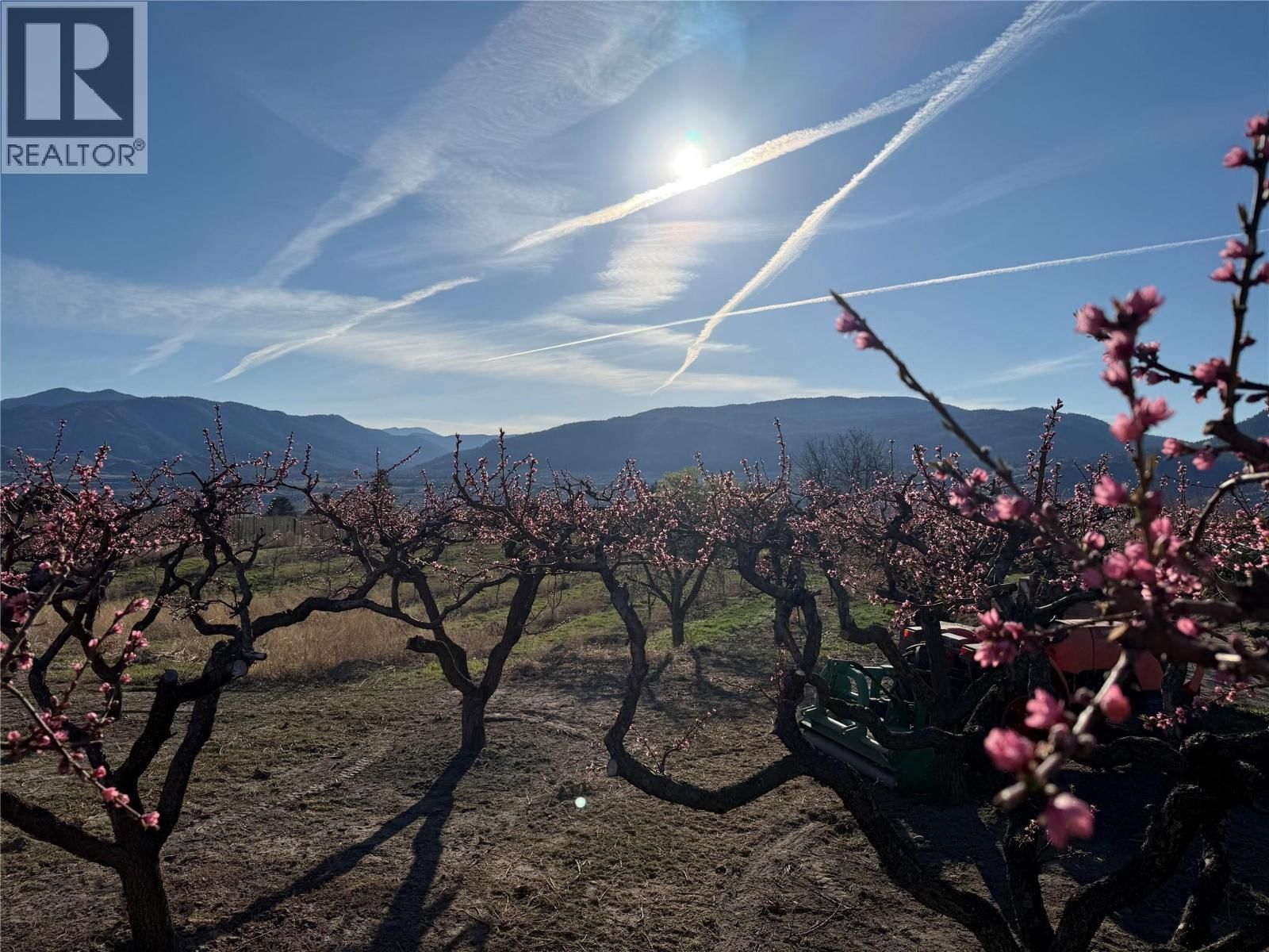 235 MIDDLE BENCH ROAD NORTH Image 80