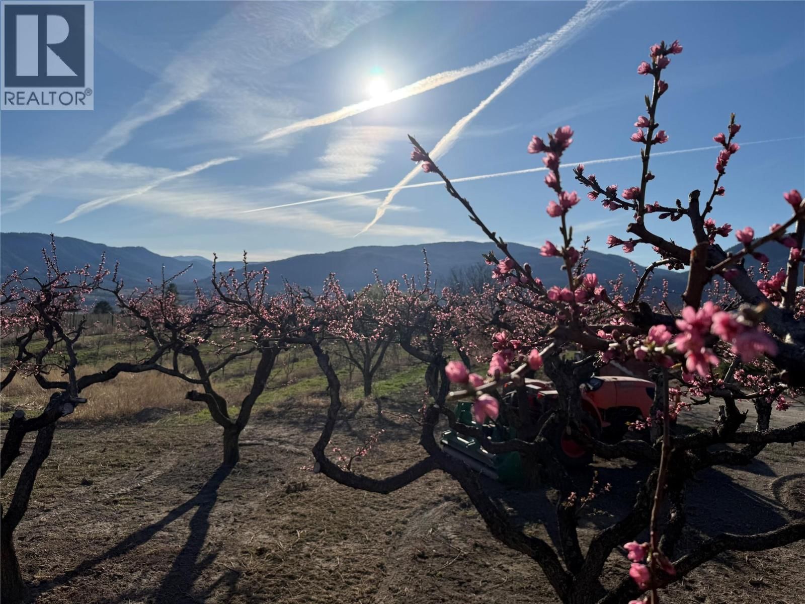 235 MIDDLE BENCH ROAD NORTH Image 81