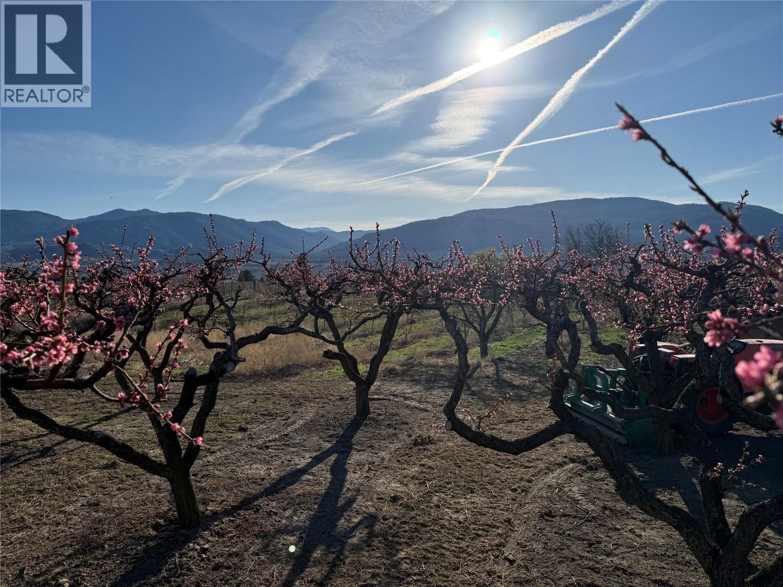 235 MIDDLE BENCH ROAD NORTH Image 82