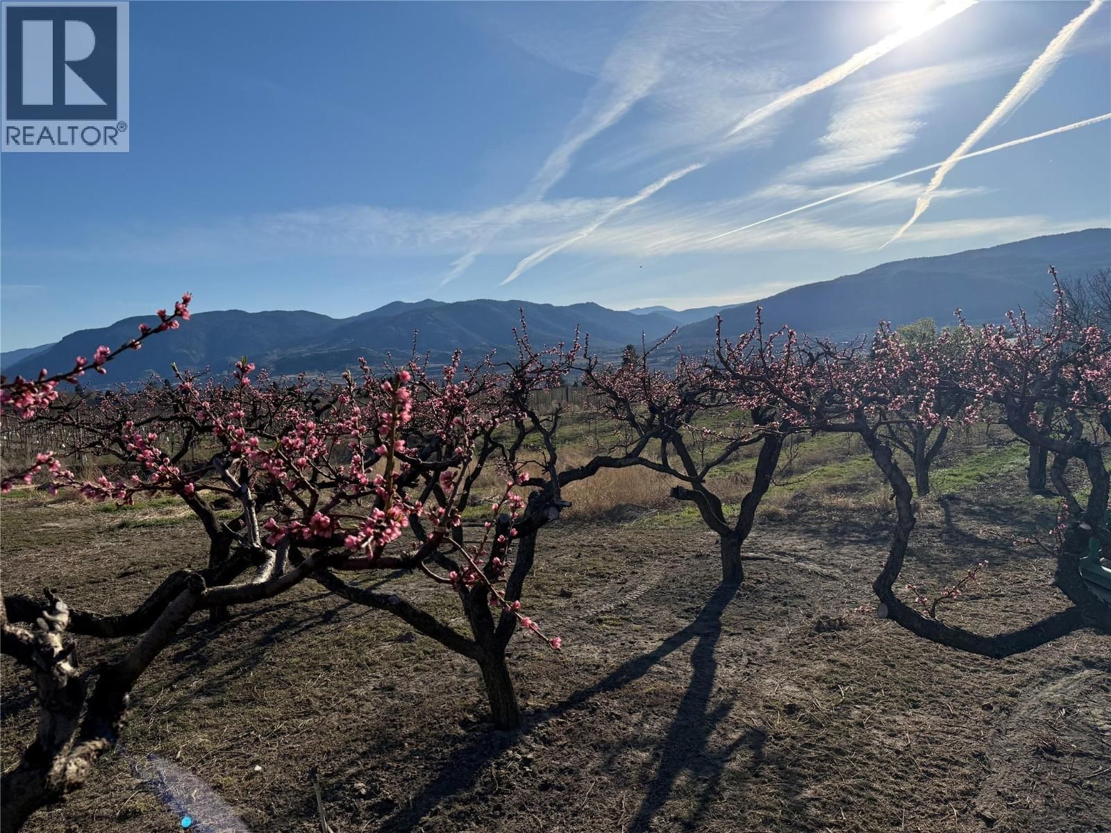 235 MIDDLE BENCH ROAD NORTH Image 83