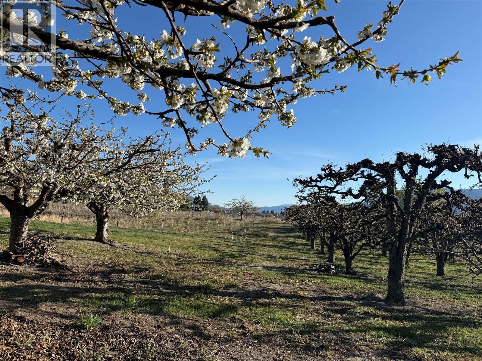 235 MIDDLE BENCH ROAD NORTH Image 84