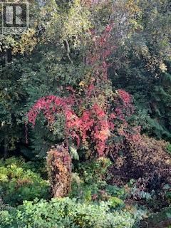 2524 PARKDALE PLACE Image 44