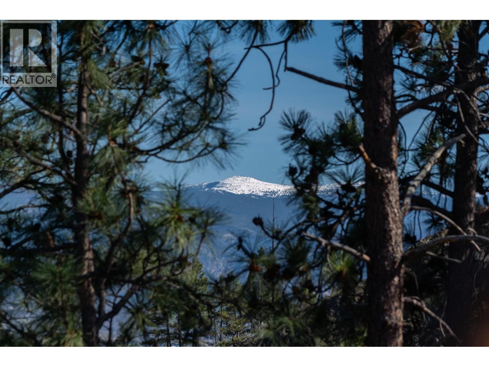 1915 ROSEALEE LANE Image 34