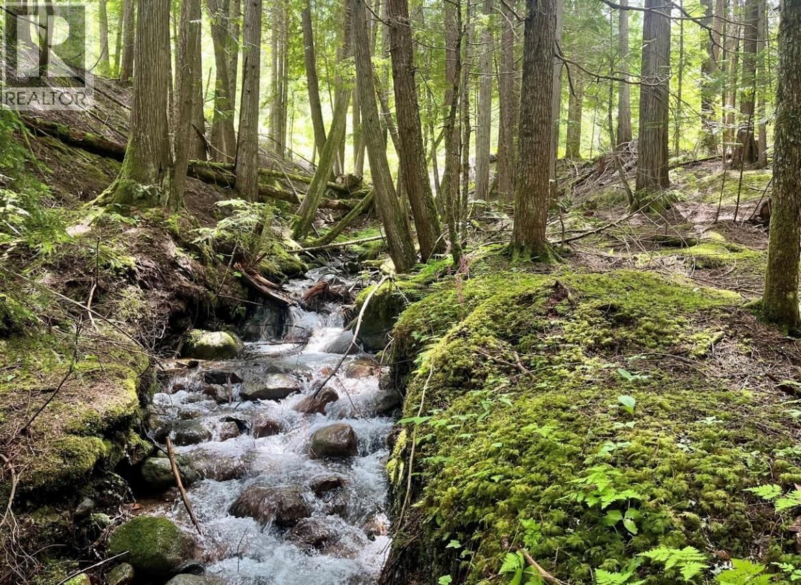  Lot 2 Red Mountain Road, Silverton, British Columbia V0G 1S0