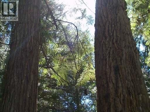 3176 GLENGROVE PLACE Image 7