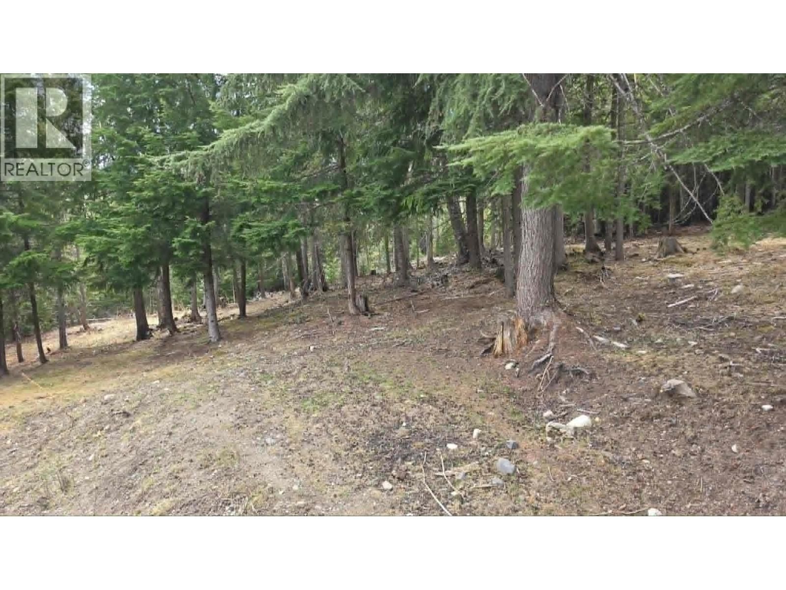 829 BOBBIE BURNS ROAD Image 28