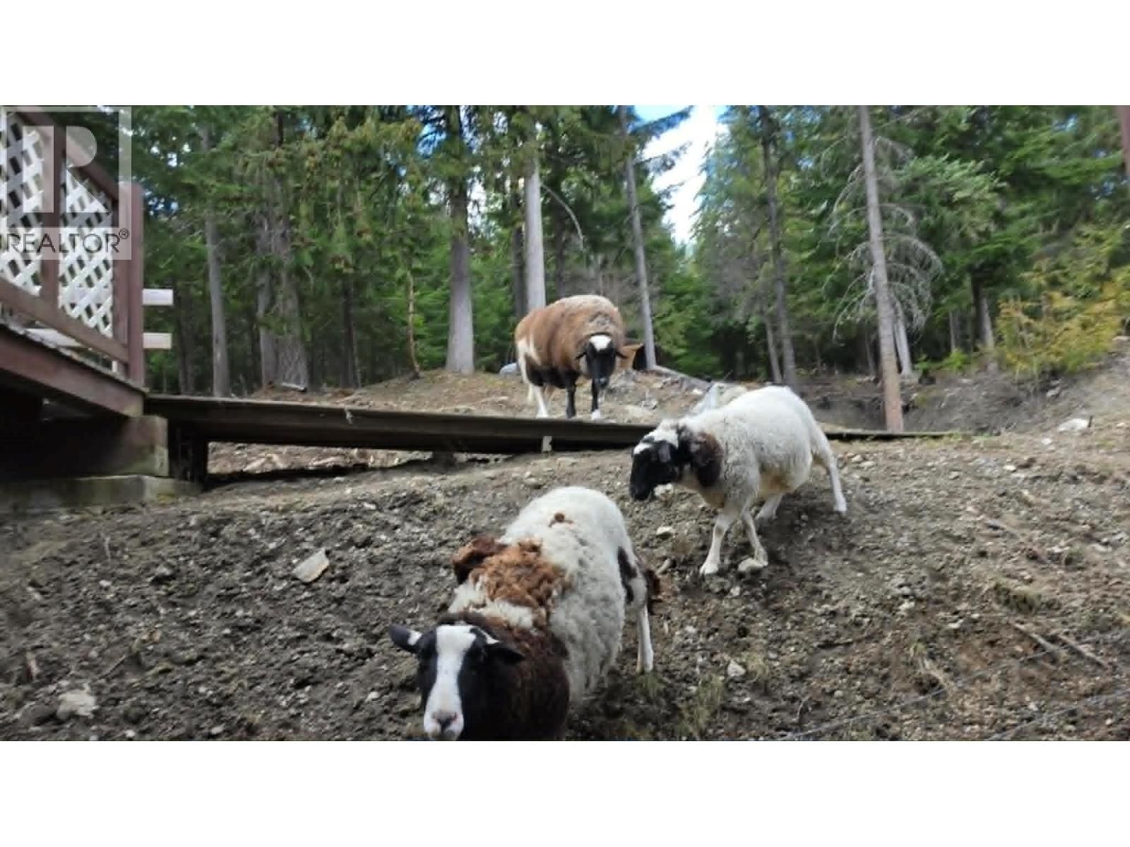 829 BOBBIE BURNS ROAD Image 39