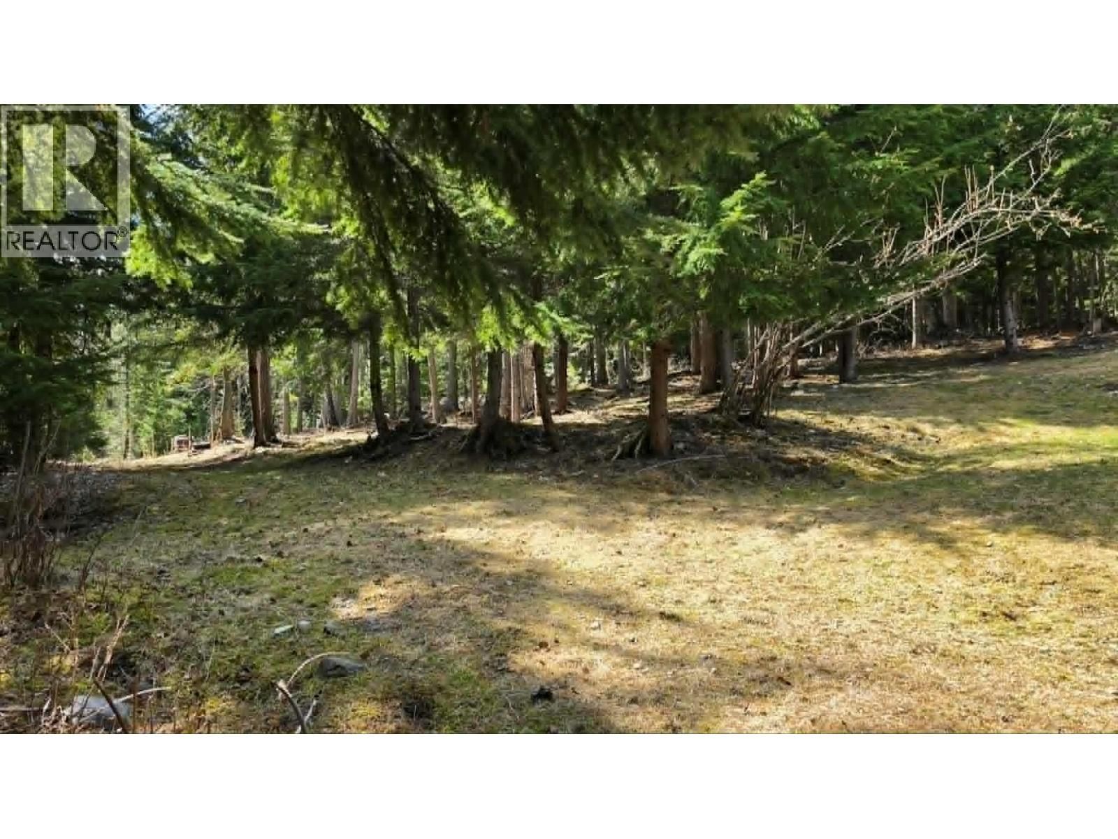 829 BOBBIE BURNS ROAD Image 40