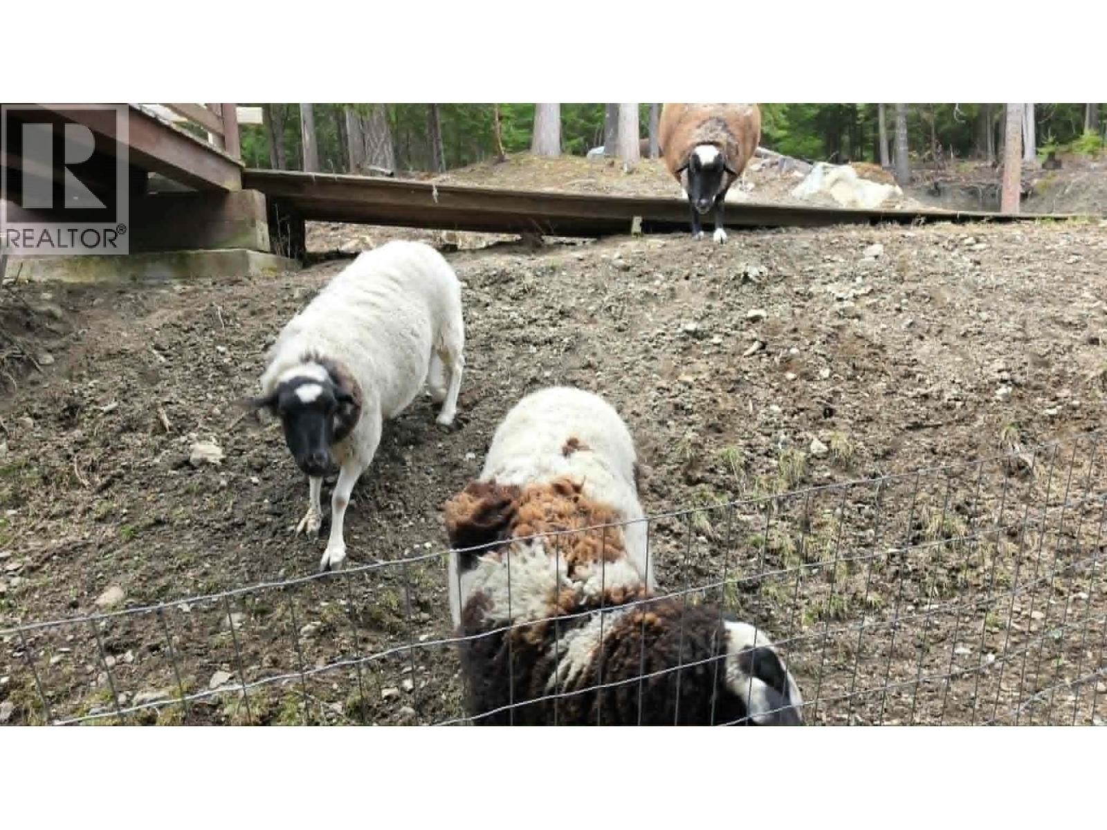 829 BOBBIE BURNS ROAD Image 41