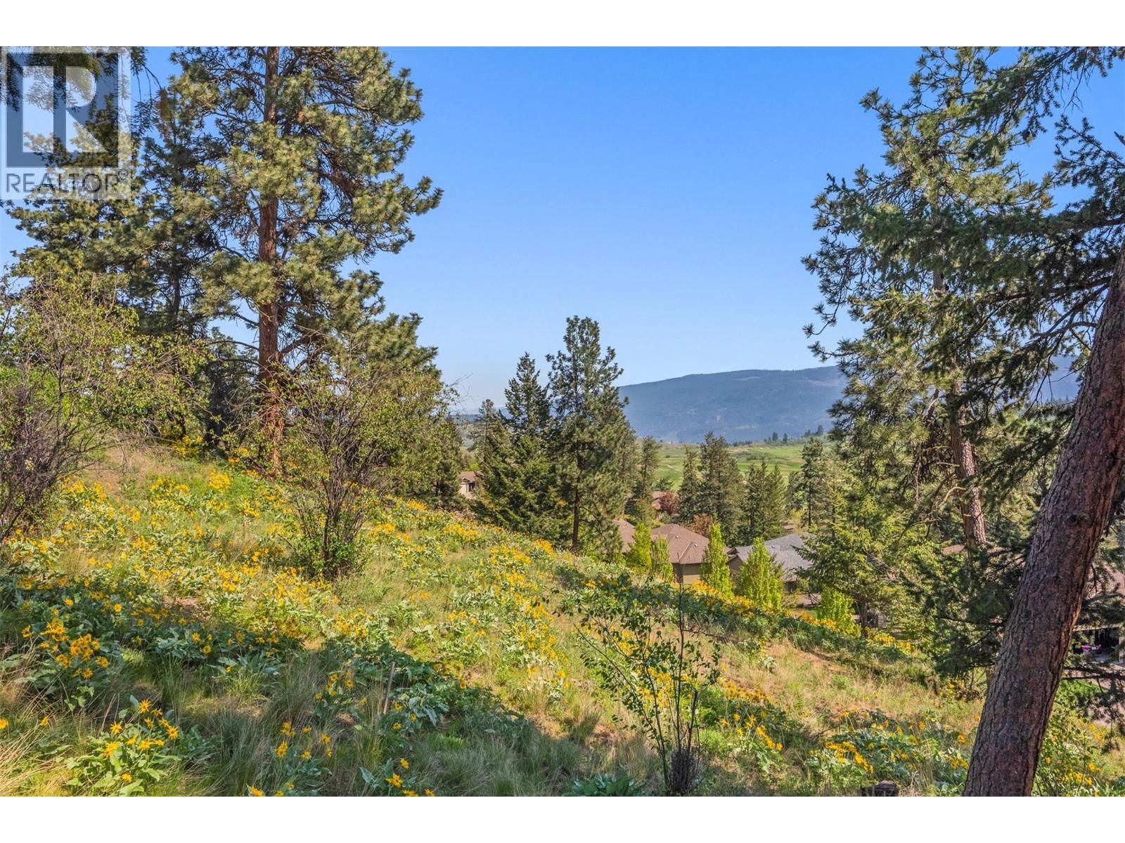 501 VARDON LANE Image 11