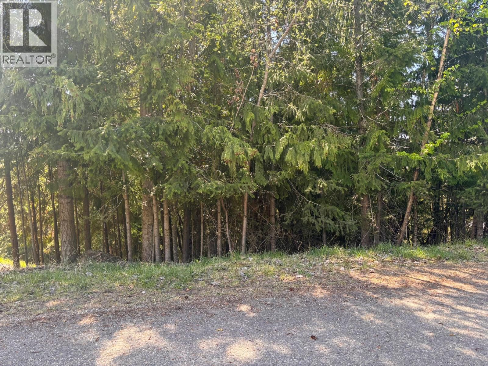 Lot 8 Stampede Trail, Anglemont, British Columbia V0E 1M8