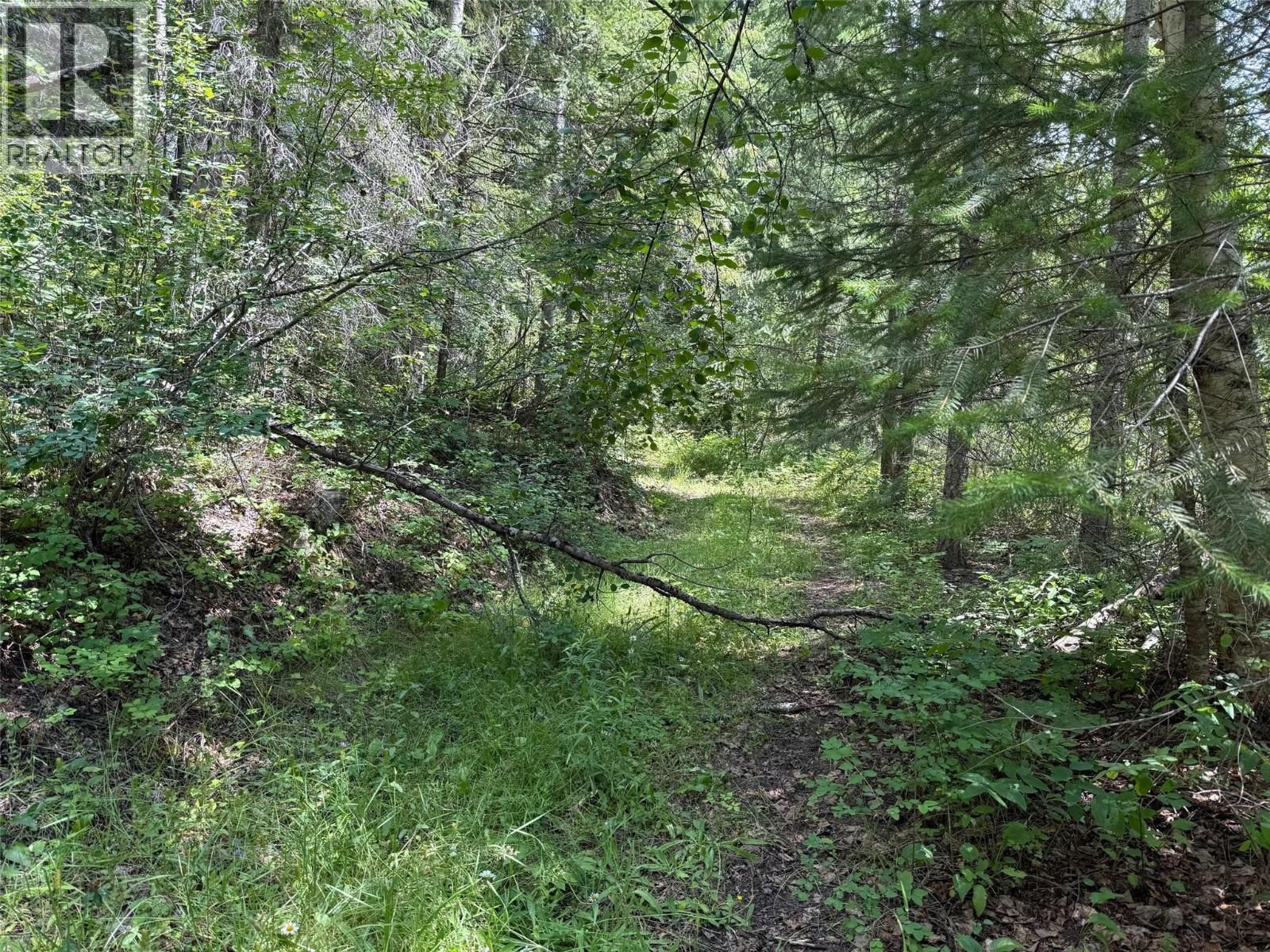 4069 EAST BARRIERE LAKE ROAD Image 1