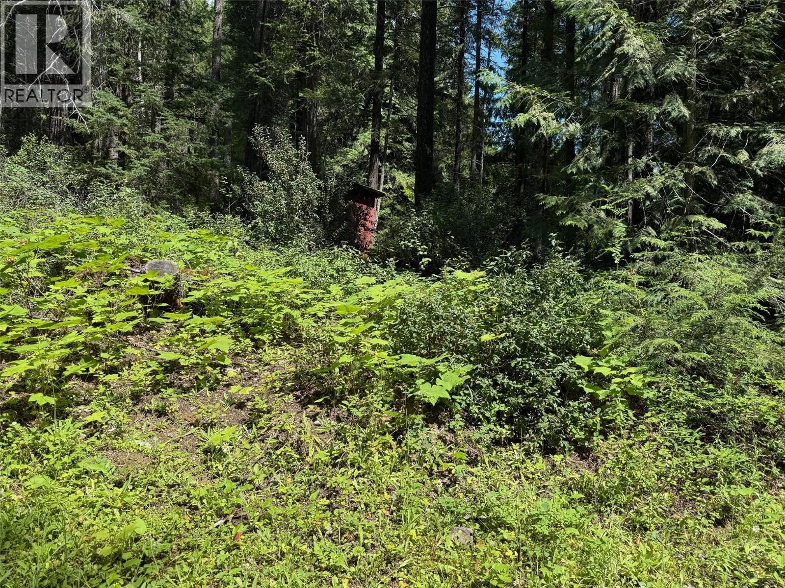 4069 EAST BARRIERE LAKE ROAD Image 3