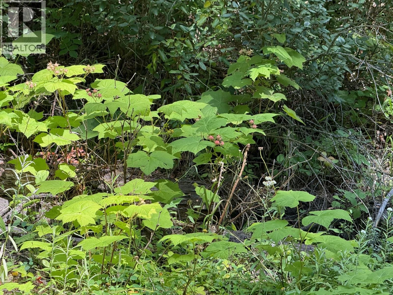 4069 EAST BARRIERE LAKE ROAD Image 5