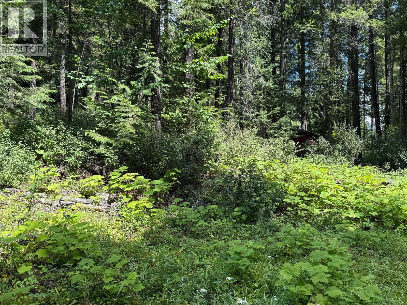 4069 EAST BARRIERE LAKE ROAD Image 6