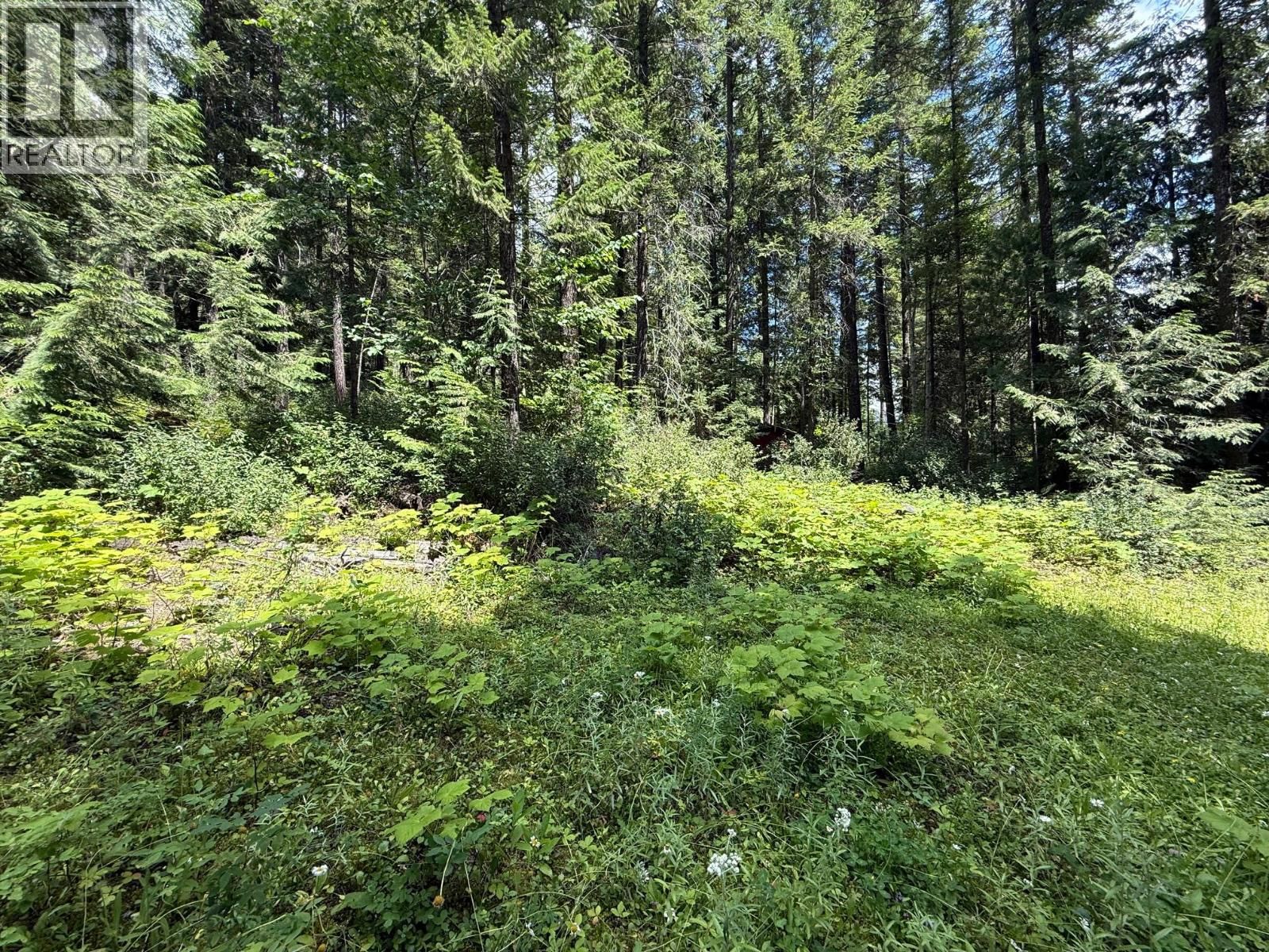 4069 EAST BARRIERE LAKE ROAD Image 7