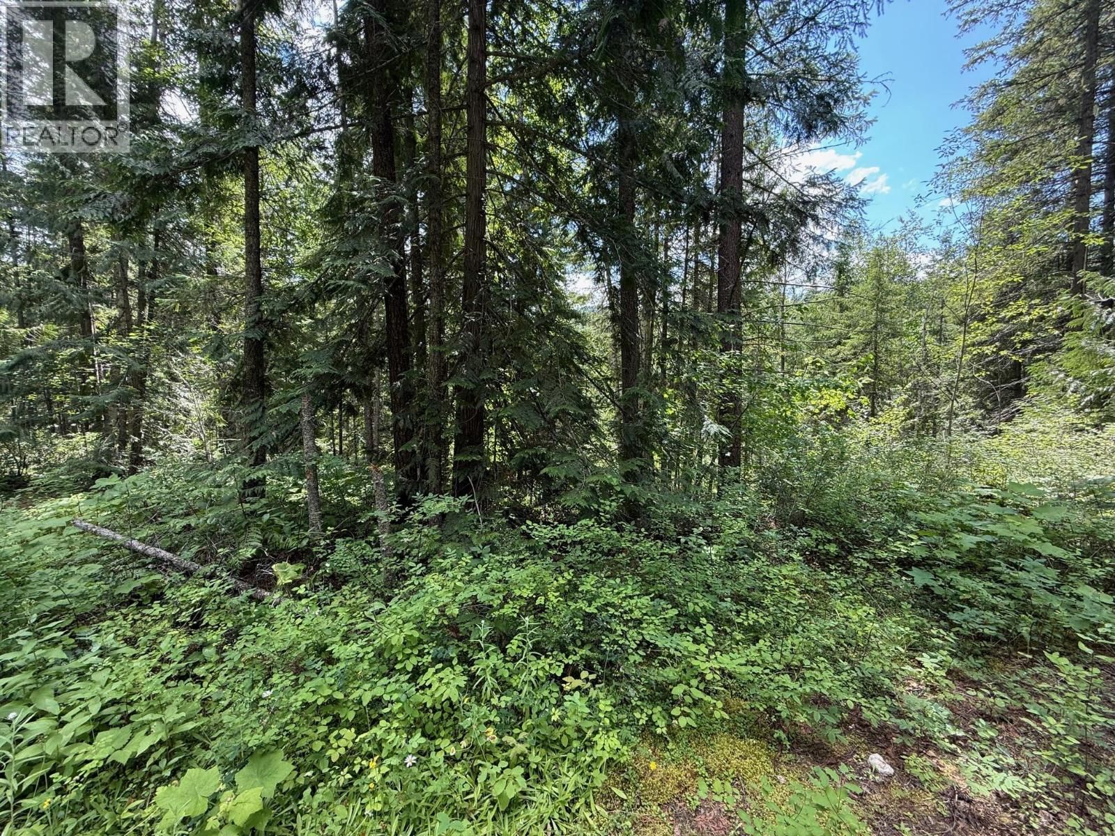 4069 EAST BARRIERE LAKE ROAD Image 8