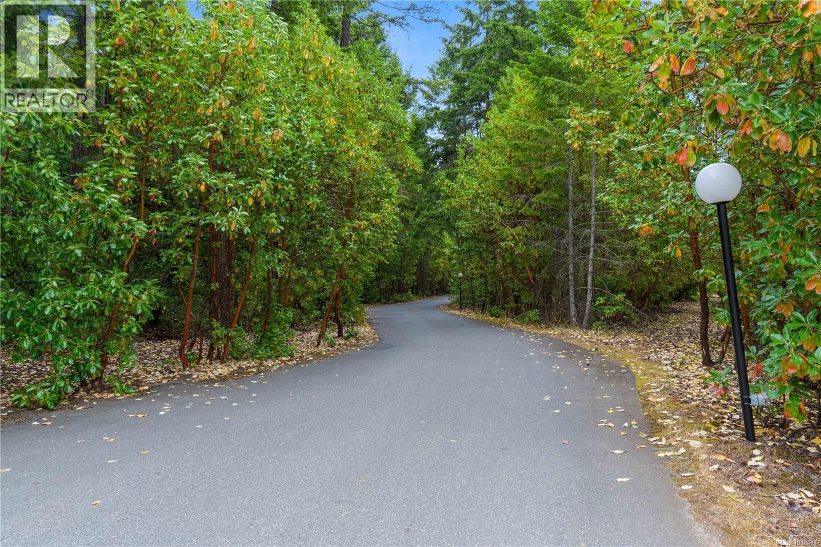 33 1165 Resort Drive property photo