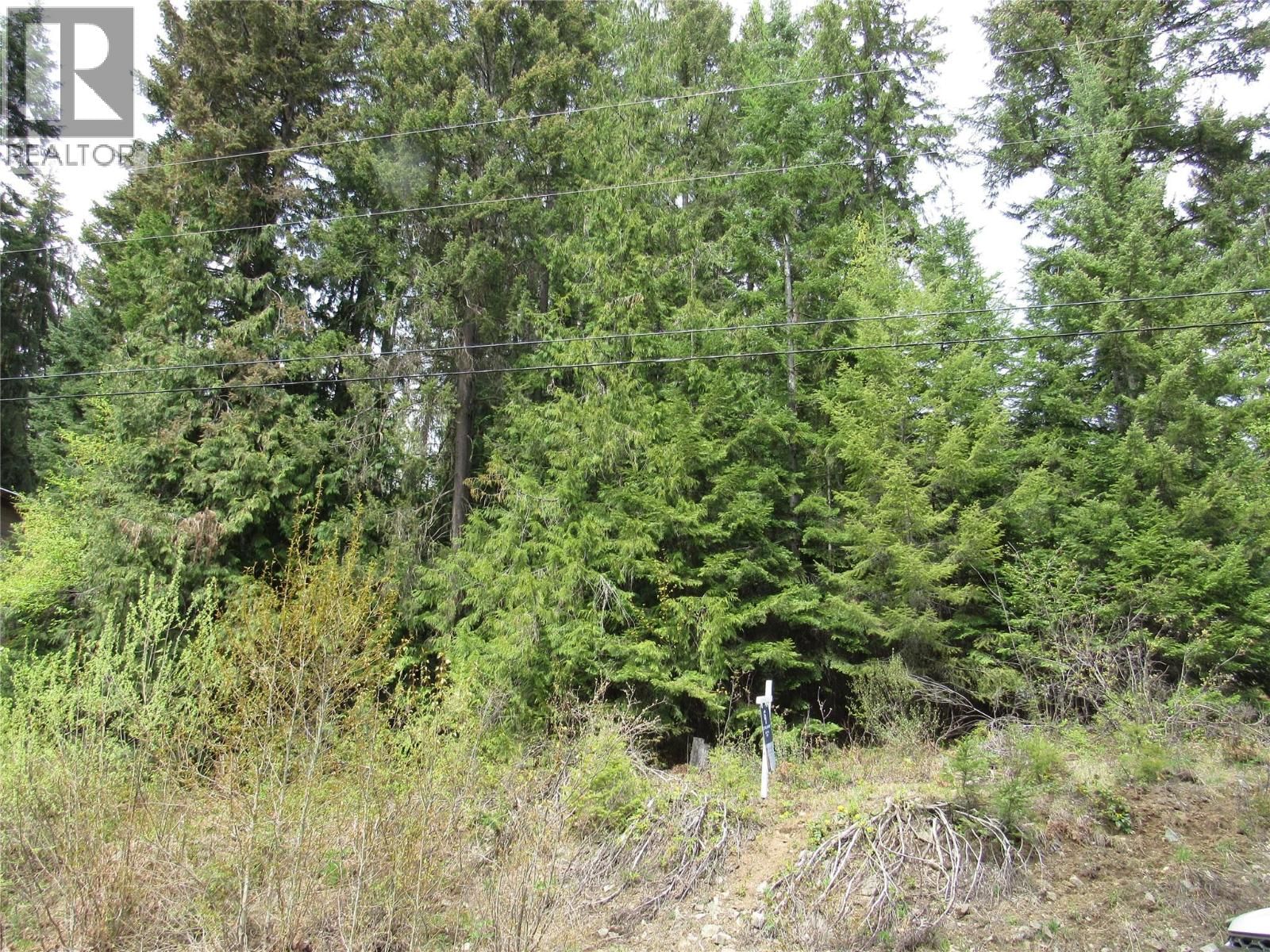 Lot 19 Nelson Rural 08182.190 Other, Bonnington Falls, British Columbia V0G 2G3
