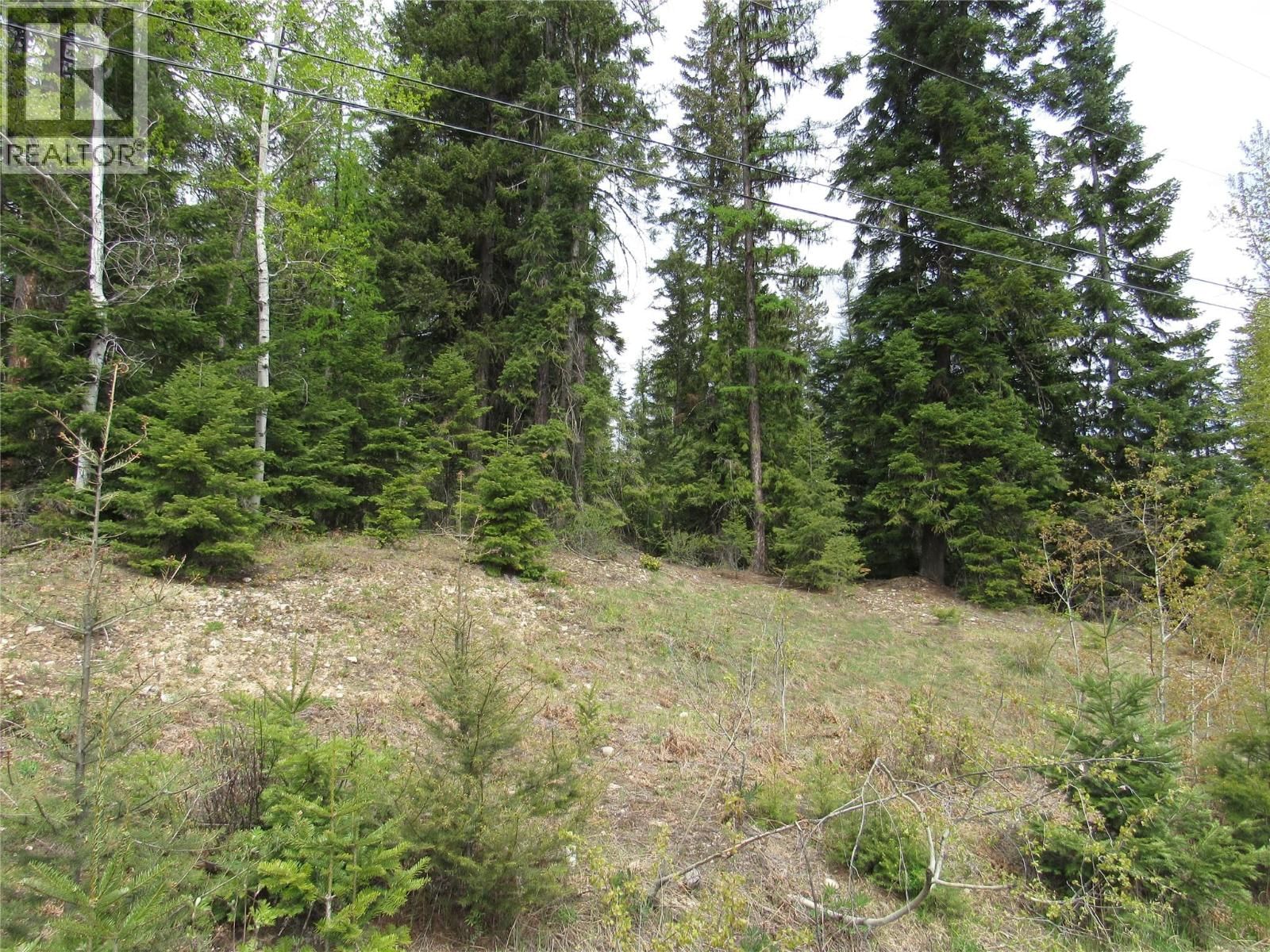 Lot 14 Nelson Rural 08182.140 Other, Bonnington Falls, British Columbia V0G 2G3