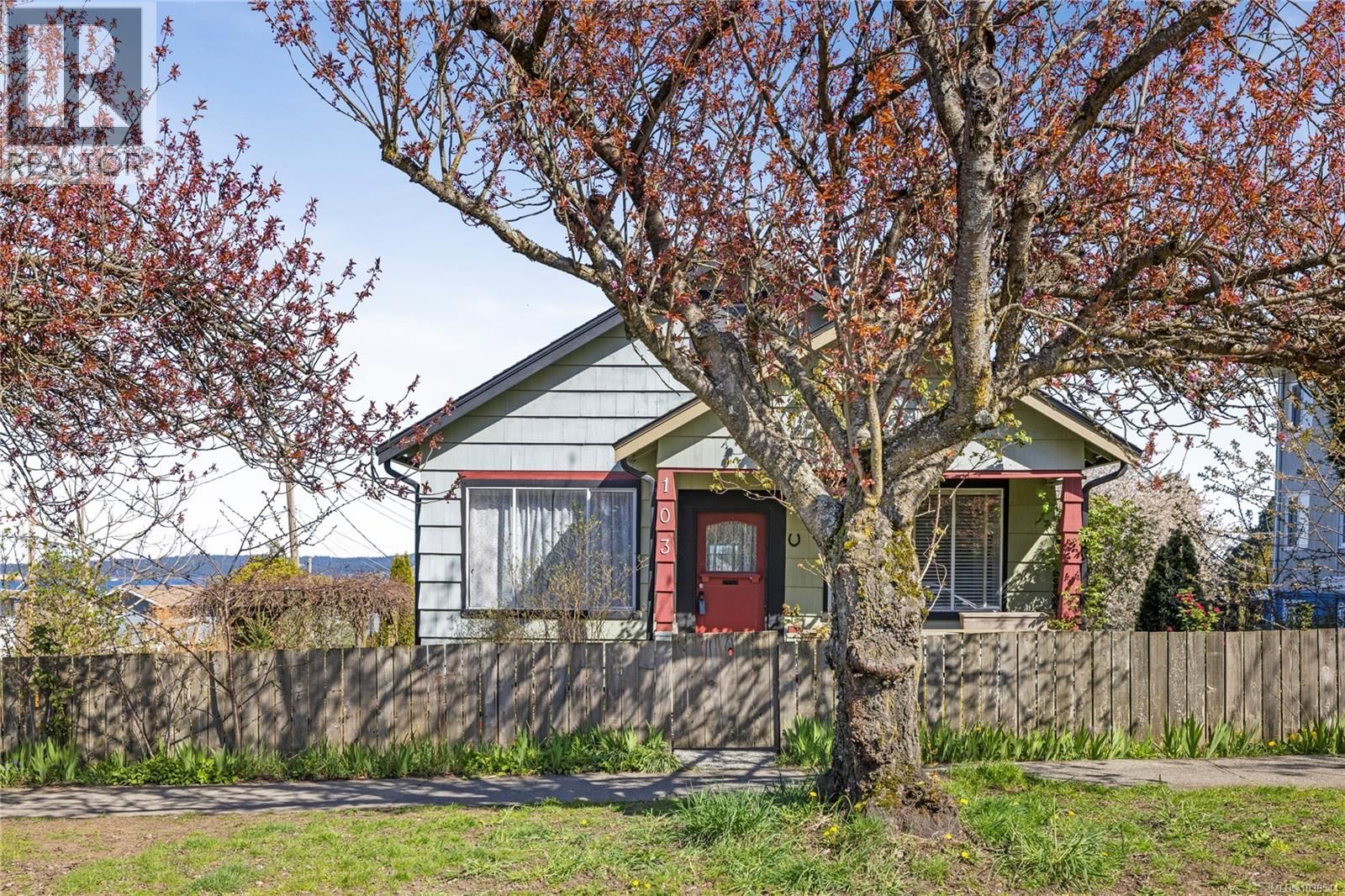 103 Haliburton Street property photo