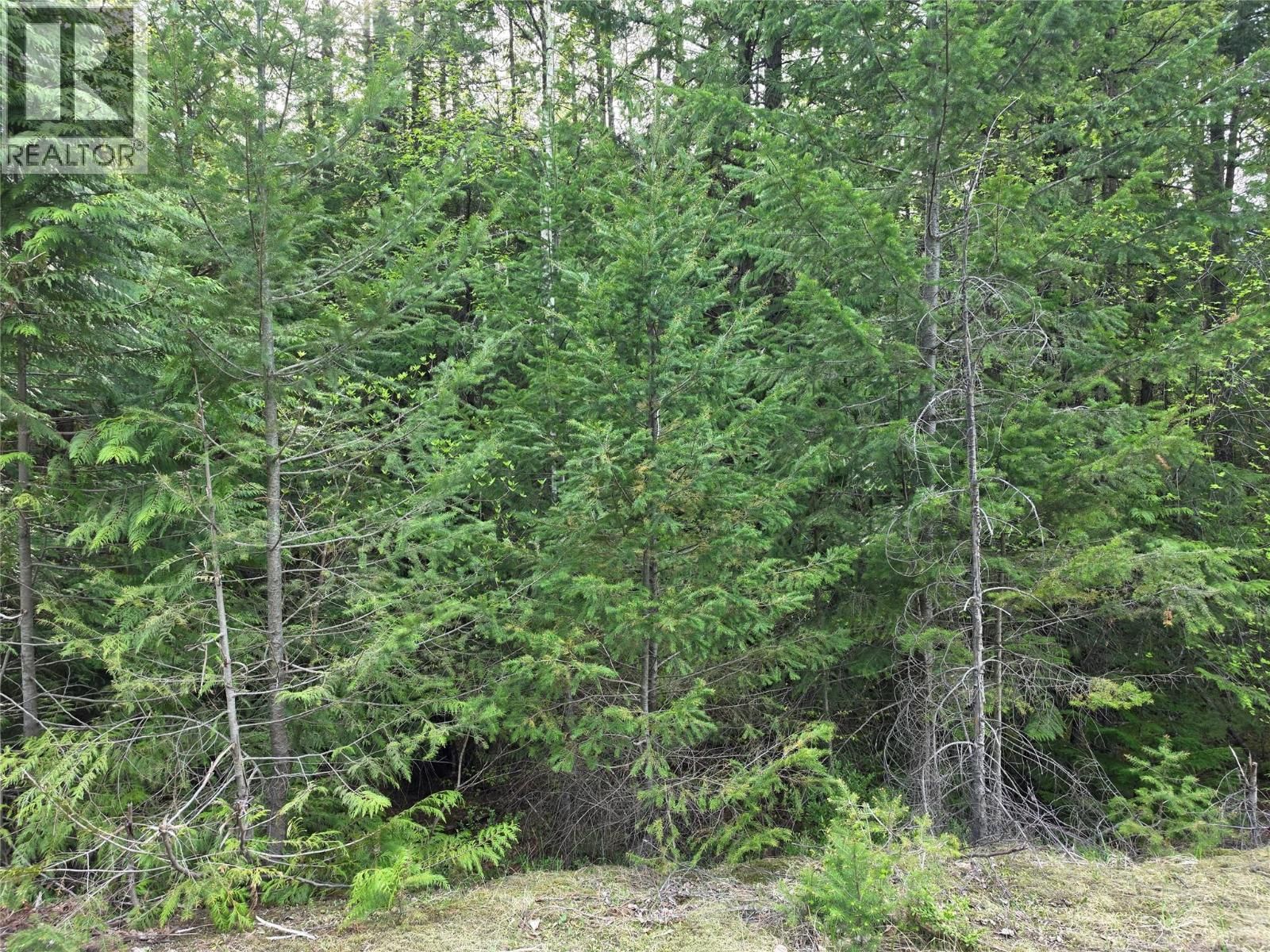  6 Highway, Slocan, British Columbia V0G 2C0