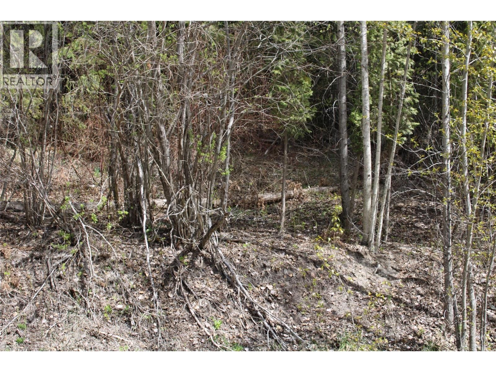 Lot 2 Vickers Trail, Anglemont, British Columbia V0E 1M8
