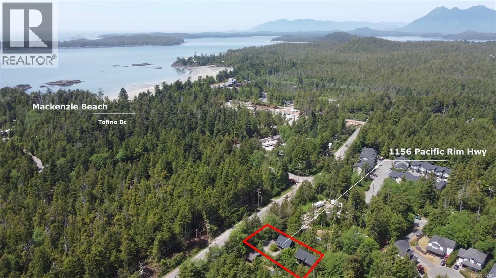 1156 Pacific Rim Highway property photo