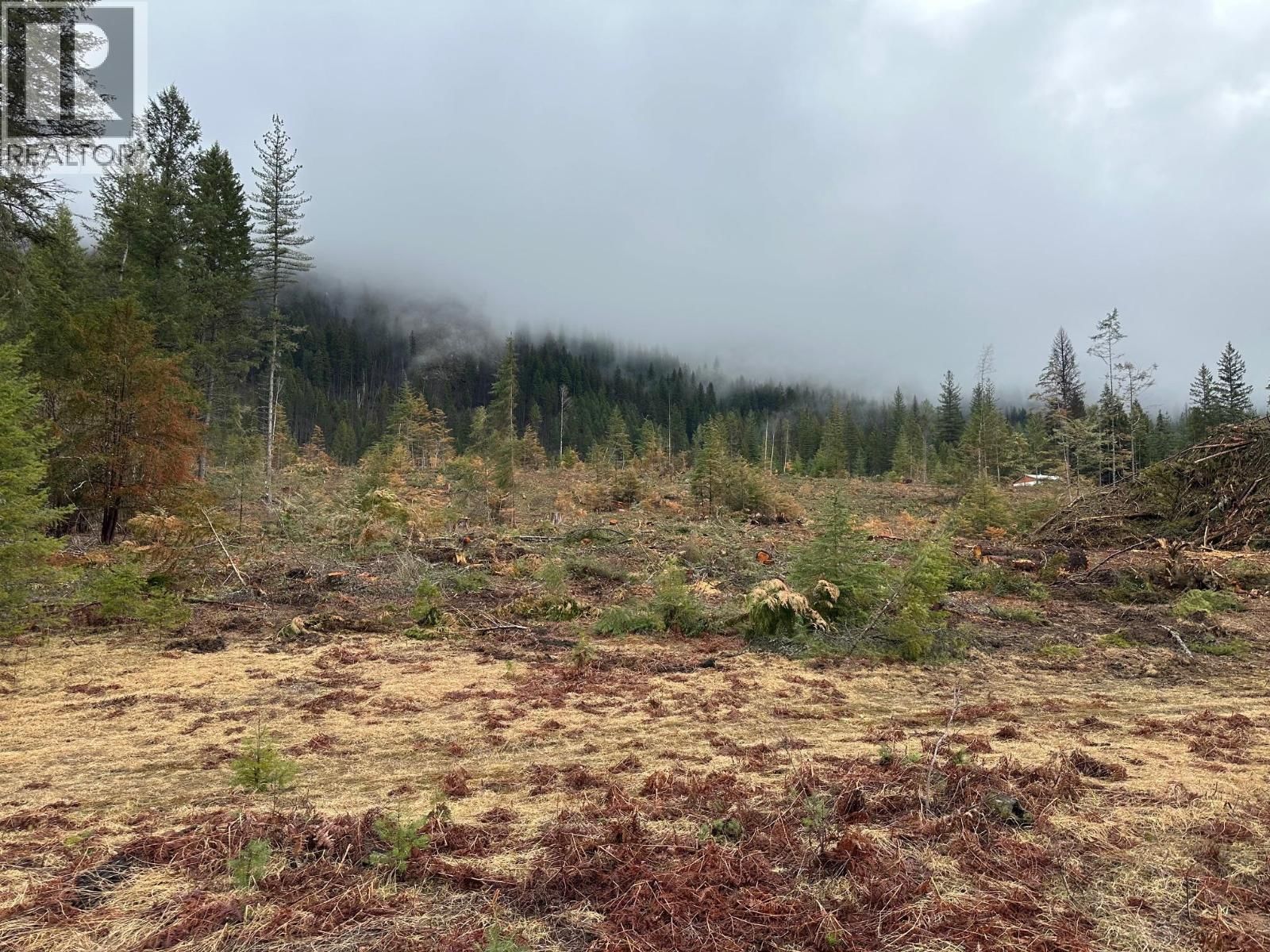 Lot C Lancaster Road, Winlaw, British Columbia V0G 2J0